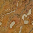 Salt marshes interpretation center