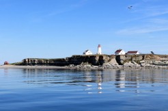 Journée en kayak de mer Île aux Perroquets dans l'archipel de Mingan