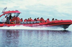 Vacances Essipit - Forfait de croisière aux baleines en Zodiac 36 passagers - À partir de 75,00$