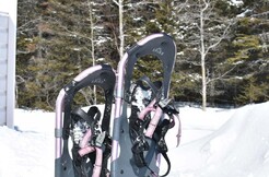 Saguenay Fjord Snowshoeing Package