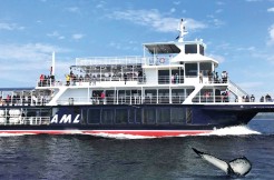 Séjour en couple à Tadoussac et croisière des baleines
