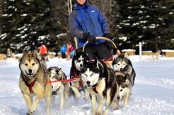 Forfait Plaisirs d'hiver