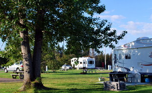 iglu familienzelt Amieron Garten-Iglu-Zelt, 3,6 m, Blasenzelt für Winter-Camping, bietet Platz für 5–7 Personen mit kostenloser 90 cm langer Lichterkette für Outdoor-Essen, Hinterhof, Camping, Sternenbeobachtung Sport & Freizeit Kind:Fuzz Cm punk Best Attire Size:S4